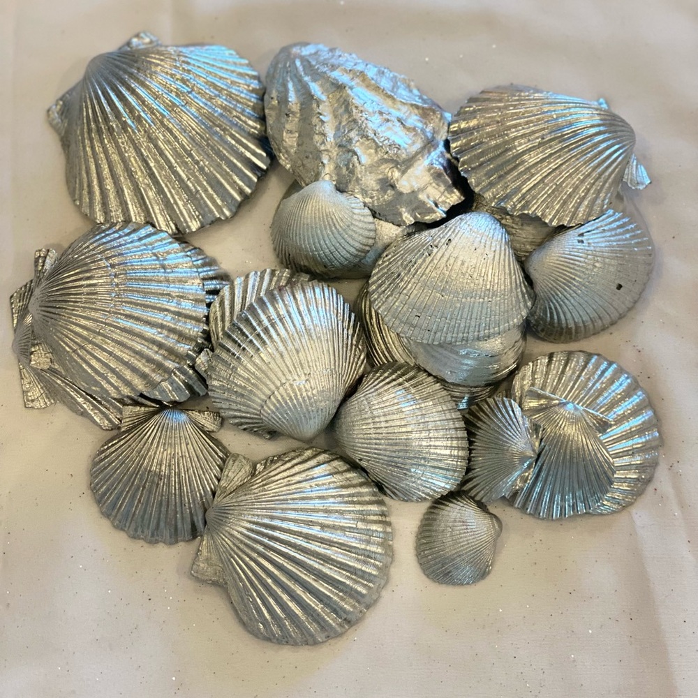 Lot of 20 Various Size Silver Shells